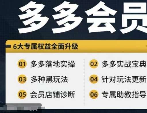 拼多多会员，拼多多实战宝典+实战落地实操，从新手到高阶内容全面覆盖-靠谱项目库