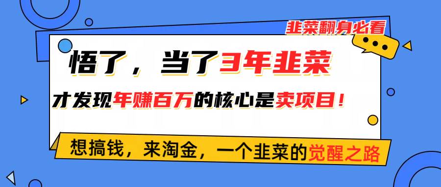 悟了，当了3年韭菜，才发现网赚圈年赚100万的核心是卖项目，含泪分享！-靠谱项目库