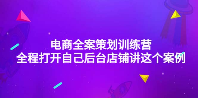 电商全案策划训练营：全程打开自己后台店铺讲这个案例（9节课时）-靠谱项目库