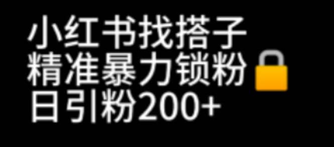 小红书找搭子暴力精准锁粉+引流日引200+精准粉-靠谱项目库