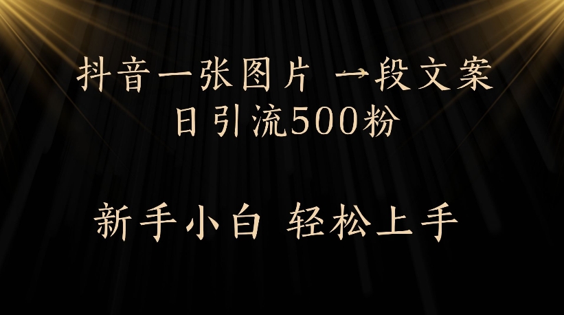 抖音一张图片，一段文案日引流500粉，新手小白 轻松上手-靠谱项目库