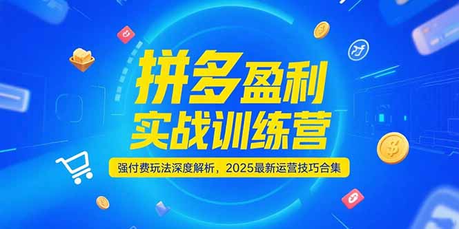（15183期）拼多多盈利实战训练营，强付费玩法深度解析，2025运营技巧合集-更新6月-靠谱项目库