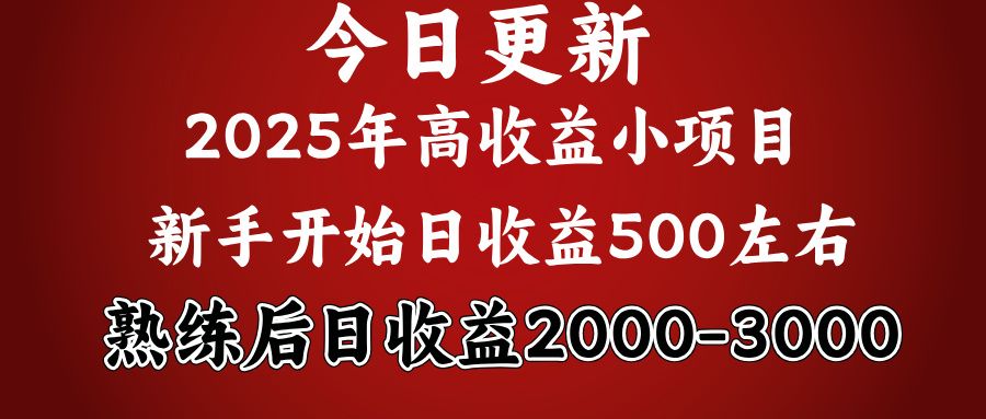 好项目一眼就能看出来，日收益1000，长久可做，2025拼的就是我比你勤奋-靠谱项目库