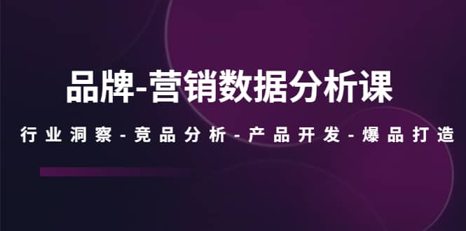 品牌-营销数据分析课，行业洞察-竞品分析-产品开发-爆品打造-靠谱项目库