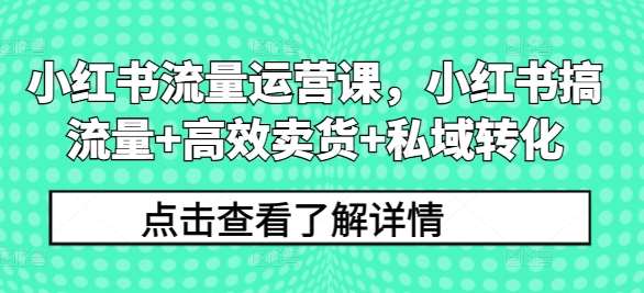 小红书流量运营课，小红书搞流量+高效卖货+私域转化-靠谱项目库