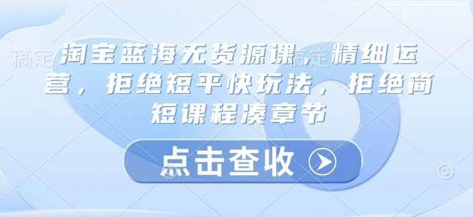 淘宝蓝海无货源课，精细运营，拒绝短平快玩法，拒绝简短课程凑章节-靠谱项目库