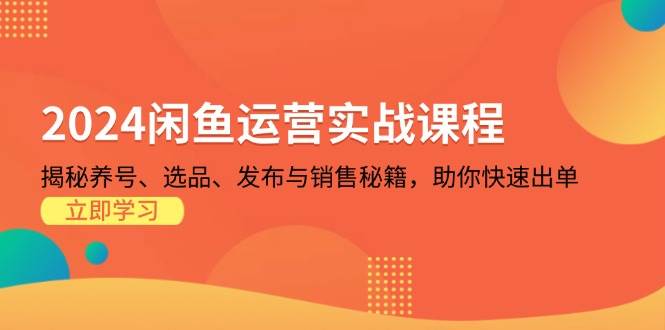 （13290期）2024闲鱼运营实战课程：揭秘养号、选品、发布与销售秘籍，助你快速出单-靠谱项目库