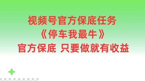 视频号官方保底任务，停车我最牛，官方保底只要做就有收益【揭秘】-靠谱项目库