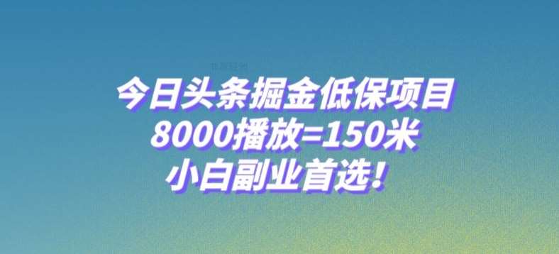 今日头条掘金低保项目，8000播放=150米，小白副业首选【揭秘】-靠谱项目库