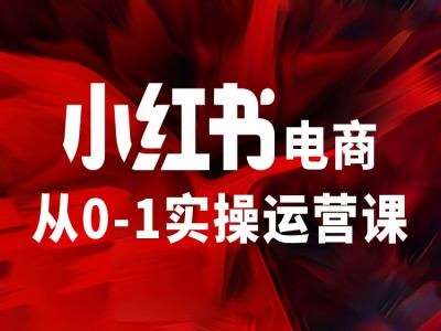 小红书电商从0-1实操运营课，让你从小白到精英-靠谱项目库
