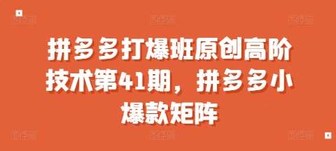 拼多多打爆班原创高阶技术第41期，拼多多小爆款矩阵-靠谱项目库