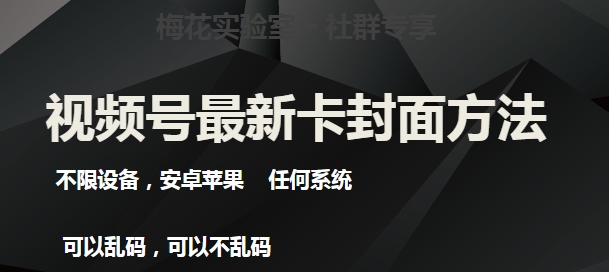 最新视频号直播卖惨乞讨玩法，流量嘎嘎滴，轻松日入300+-靠谱项目库