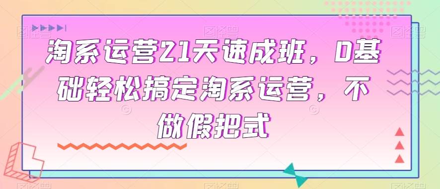 淘系运营21天速成班，0基础轻松搞定淘系运营，不做假把式-靠谱项目库