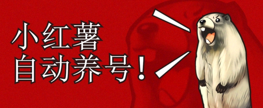 小红书养号秘籍，如何自动涨粉清晰系统标签打造高权重账号【揭秘】-靠谱项目库