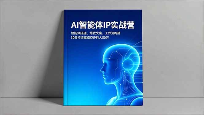 （16689期）AI智能体IP实战营，智能体搭建、爆款文案、工作流构建，30天打造高成交IP月入50万-靠谱项目库