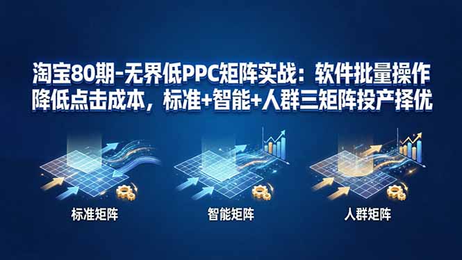 （17987期）淘宝80期-无界低PPC矩阵实战：软件批量操作降低点击成本，标准+智能+人群三矩阵投产择优-靠谱项目库