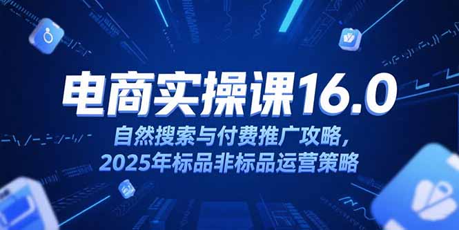 （15262期）淘宝电商运营课16.0，自然搜索与付费推广攻略，2025年标品非标品运营策略-靠谱项目库