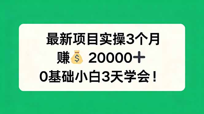 （17856期）最新项目实操3个月，赚钱20000+，0基础小白3天学会！-靠谱项目库
