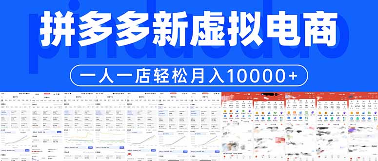（17978期）拼多多虚拟电商一人一店轻松月入10000+-靠谱项目库