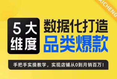 5大维度，数据化打造电商品类爆款特训营，一套高效运营爆款方法论-靠谱项目库