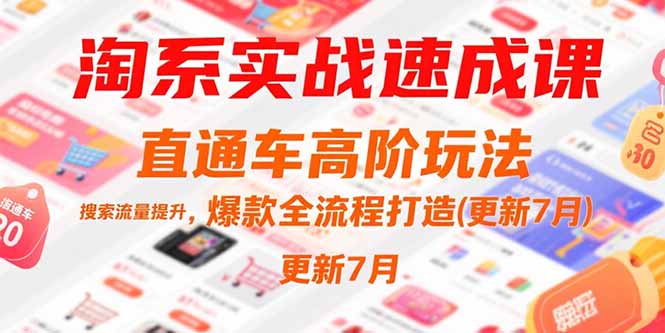 （15374期）淘系实战速成课，直通车高阶玩法，搜索流量提升，爆款全流程打造(更新7月)-靠谱项目库