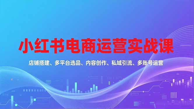 （16695期）小红书电商运营实战课，店铺搭建、多平台选品、内容创作、私域引流、多账号运营等玩法-靠谱项目库