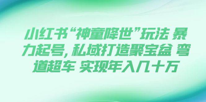 小红书“神童降世”玩法 暴力起号,私域打造聚宝盆 弯道超车 实现年入几十万-靠谱项目库