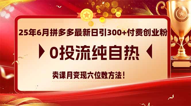 （14989期）25年6月拼多多最新日引300+付费创业粉，0投流纯自热 卖课月变现六位数方法-靠谱项目库