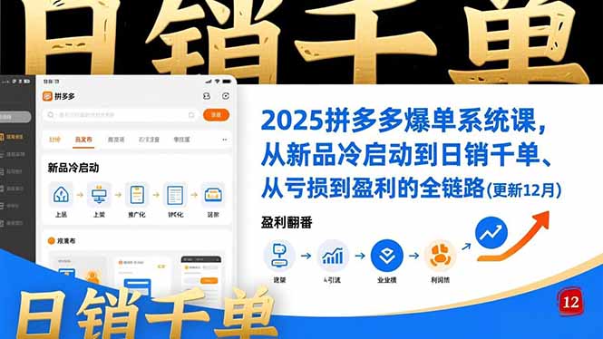 （16894期）2025拼多多爆单系统课，从新品冷启动到日销千单、从亏损到盈利的全链路（更新12月）-靠谱项目库