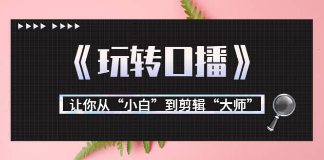 月营业额700万+大佬教您《玩转口播》让你从“小白”到剪辑“大师”-靠谱项目库