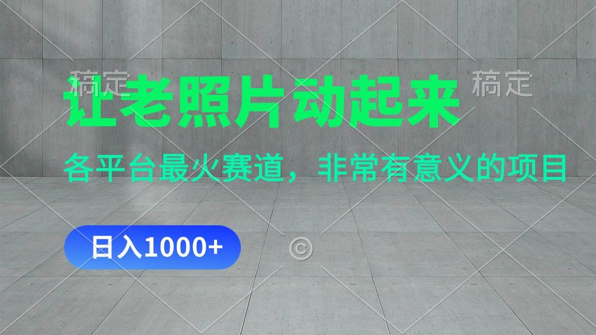 （11671期）让老照片动起来，一天变现1000+，各平台最火赛道，看完就会-靠谱项目库
