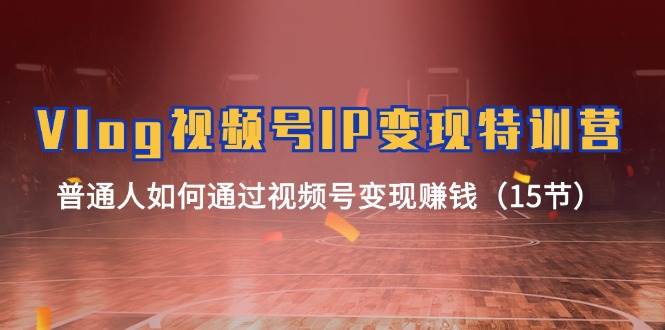 Vlog 视频号IP变现特训营，普通人如何通过视频号变现赚钱（15节）-靠谱项目库
