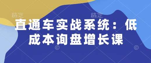 直通车实战系统：低成本询盘增长课，让个人通过技能实现升职加薪，让企业低成本获客，订单源源不断-靠谱项目库