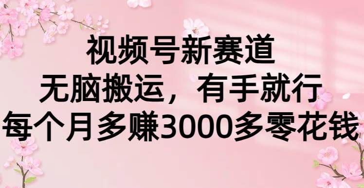 视频号新赛道，无脑搬运，有手就行，每个月多赚3000多零花钱-靠谱项目库