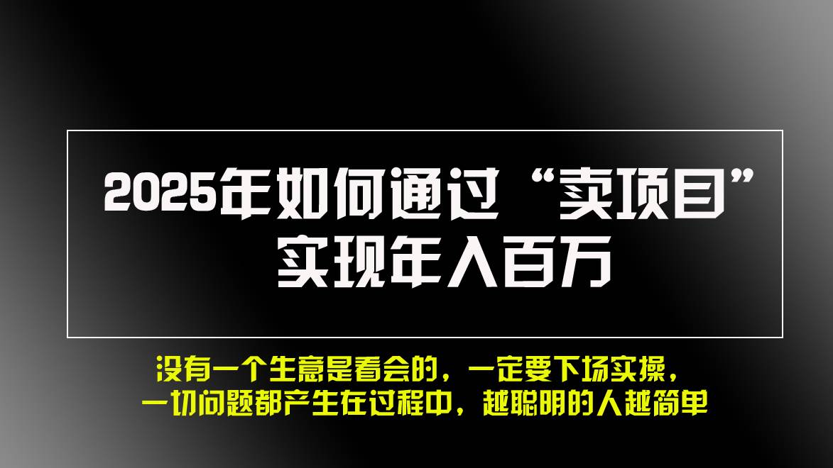 （13468期）2025年如何通过“卖项目”实现年入百万，做网赚必看！！-靠谱项目库