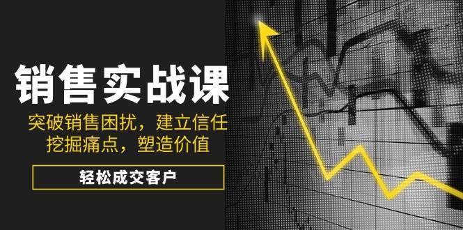 销售实战课，突破销售困扰，建立信任，挖掘痛点，塑造价值，轻松成交客户-靠谱项目库