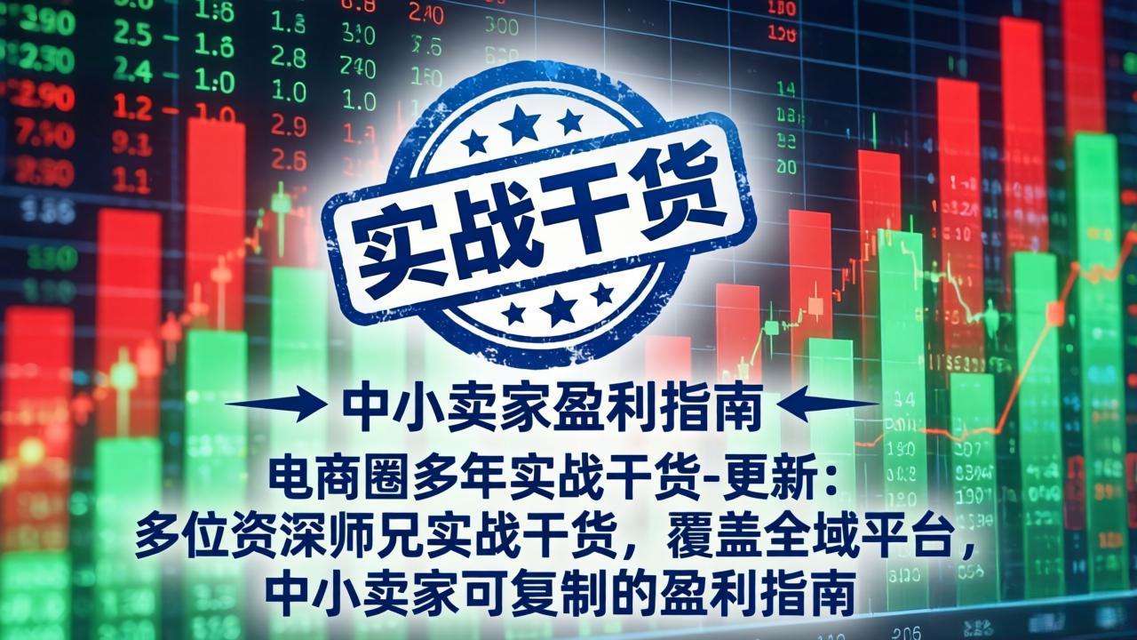 （18231期）电商圈多年实战干货-更新4月27：多位资深师兄实战干货/覆盖全域平台，中小卖家可复制的盈利指南-靠谱项目库