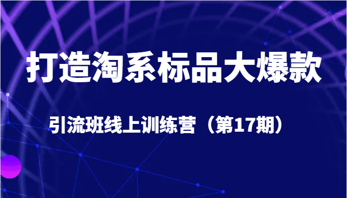 打造淘系标品大爆款引流班线上训练营5天直播授课+1个月答疑-靠谱项目库
