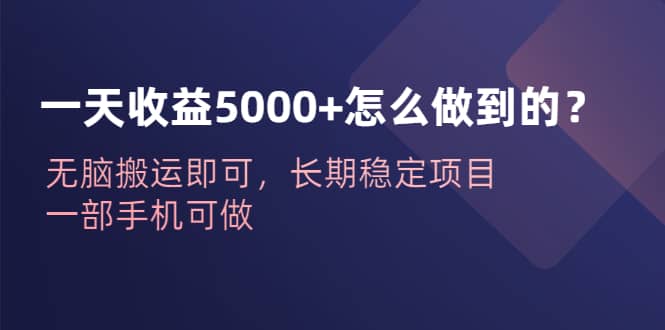 一天收益5000+怎么做到的？无脑搬运即可，长期稳定项目，一部手机可做-靠谱项目库