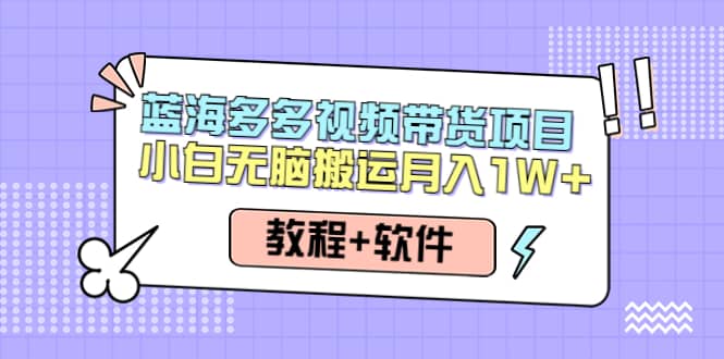 人人都能操作的蓝海多多视频带货项目 小白无脑搬运（教程+软件）-靠谱项目库