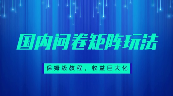 保姆级教程，国内问卷矩阵玩法，轻松赚收益-靠谱项目库