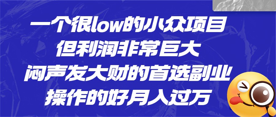 一个很low的小众项目，但利润非常巨大，闷声发大财的首选副业，操作的好月入过万-靠谱项目库