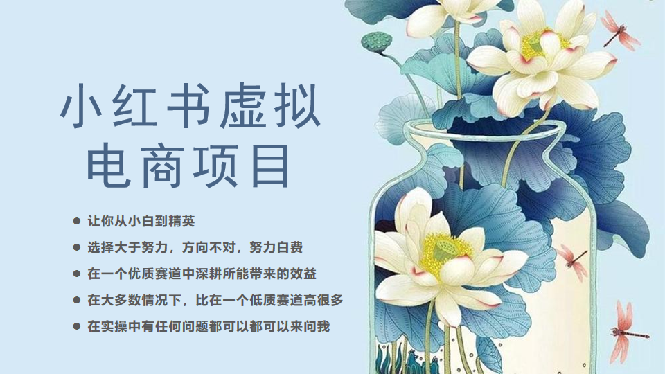 小红书虚拟电商从0到1小白到精英（20节实操课程）-靠谱项目库