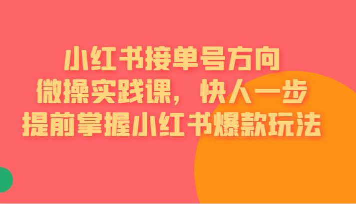 红书接单号方向微操实践课，快人一步提前掌握小红书爆款玩法-靠谱项目库