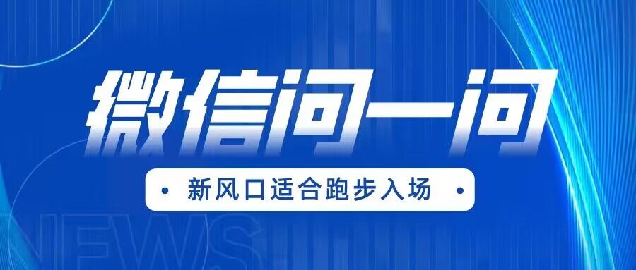 全网首发微信问一问新风口变现项目（价值1999元）-靠谱项目库