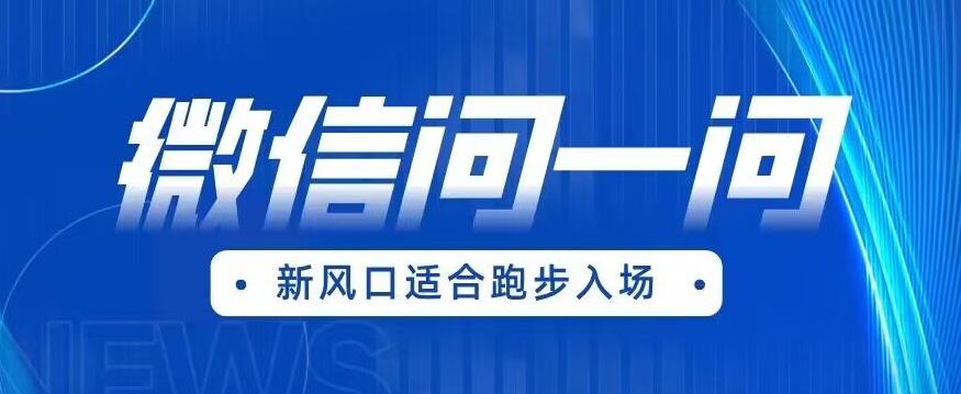 全网首发微信问一问新风口变现项目（价值1999元）【揭秘】-靠谱项目库