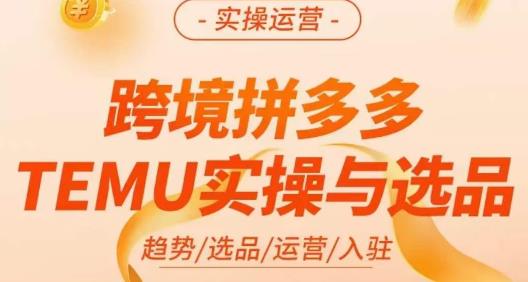 伍跃·跨境拼多多TEMU实操与选品，​趋势/选品/运营/入住（27节完整）-靠谱项目库