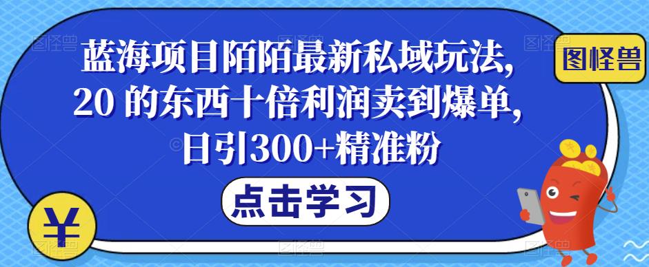 蓝海项目陌陌最新私域玩法，20 的东西十倍利润卖到爆单，日引300+精准粉【揭秘】-靠谱项目库