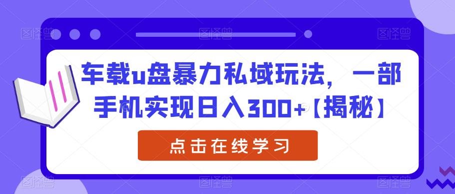 车载u盘暴力私域玩法，一部手机实现日入300+【揭秘】-靠谱项目库