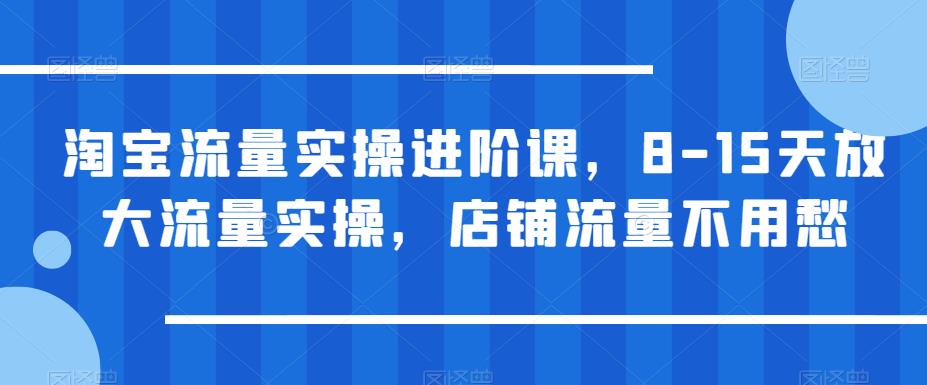淘宝流量实操进阶课，8-15天放大流量实操，店铺流量不用愁-靠谱项目库